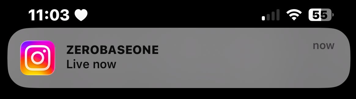 hari 🍓 enhypen is 7 tweet media