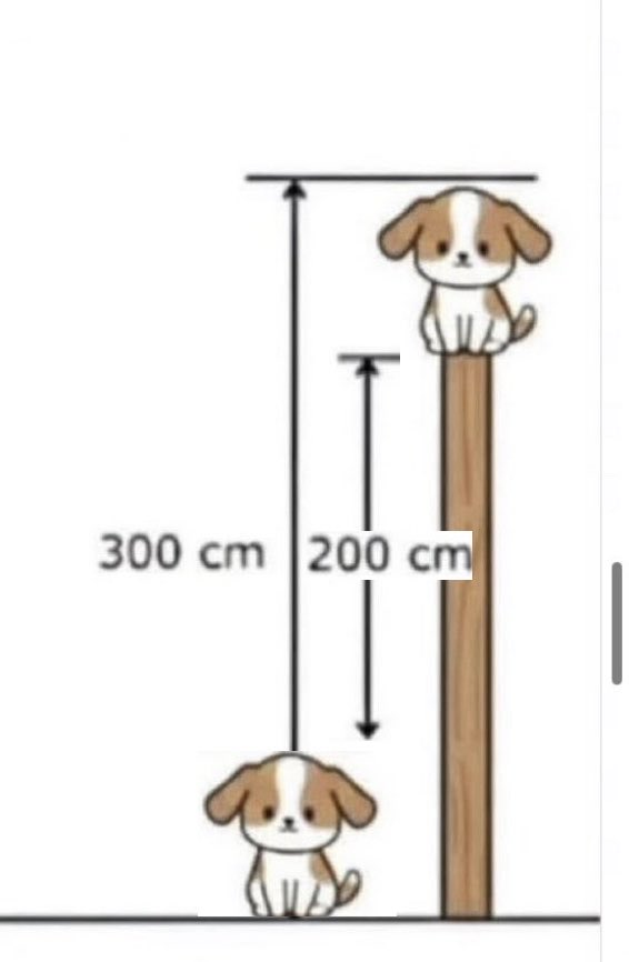 End The FED tweet media