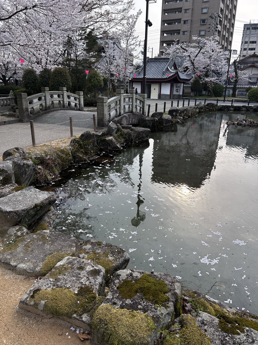 Replicant Ami（あみパパ）（おんじ） tweet media