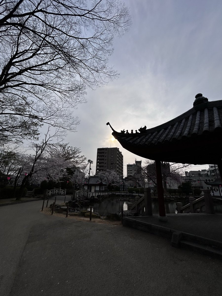 Replicant Ami（あみパパ）（おんじ） tweet media