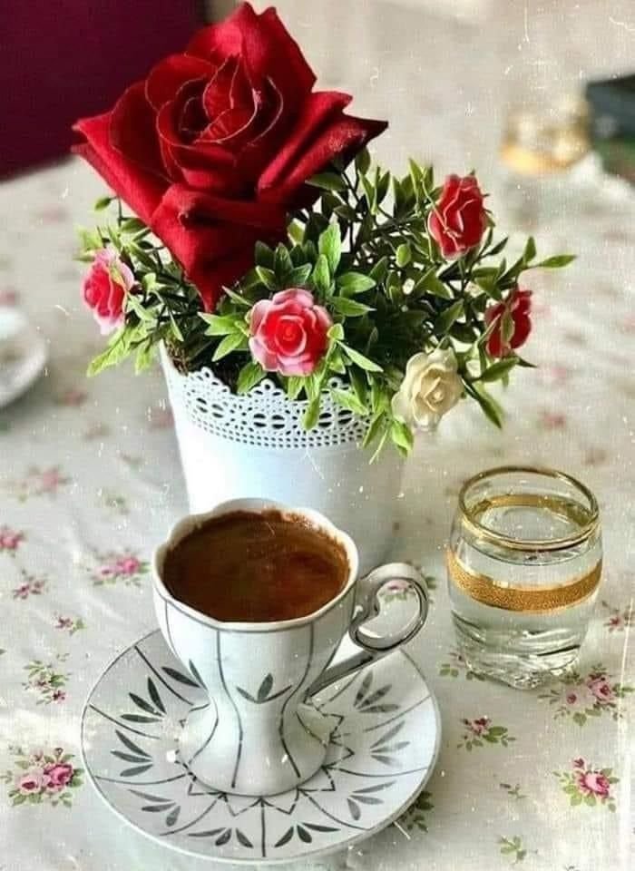 يمان .نحاس 🌹🥀🌺 tweet media