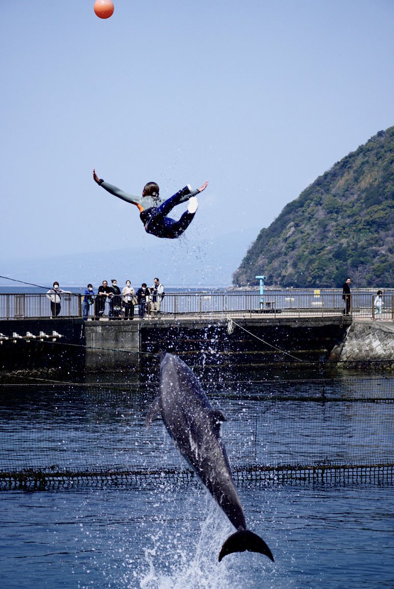 たなか tweet media