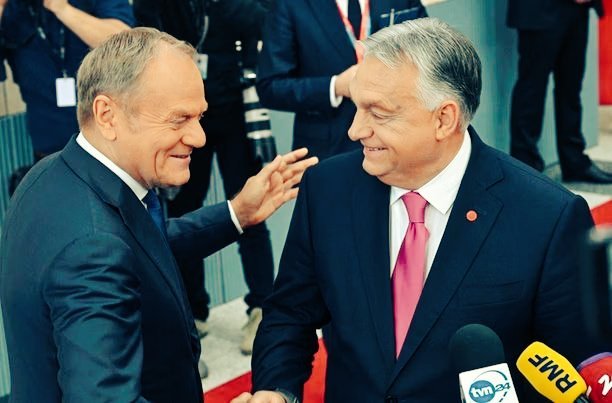 Jowita Anna Padjas tweet media