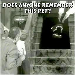 Elizabeth❣️ tweet media