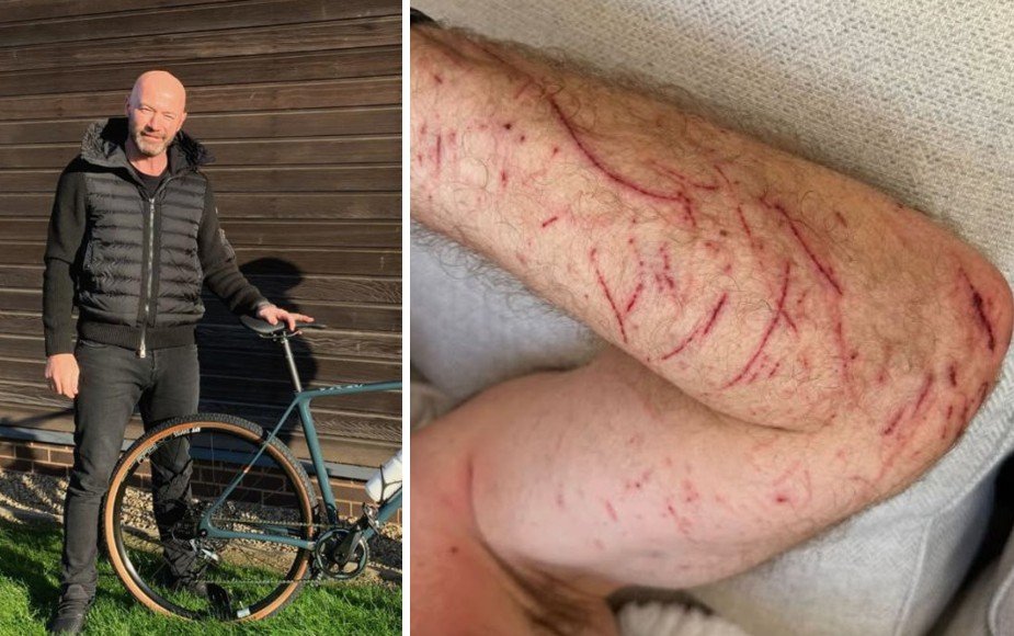 Elland Back tweet media