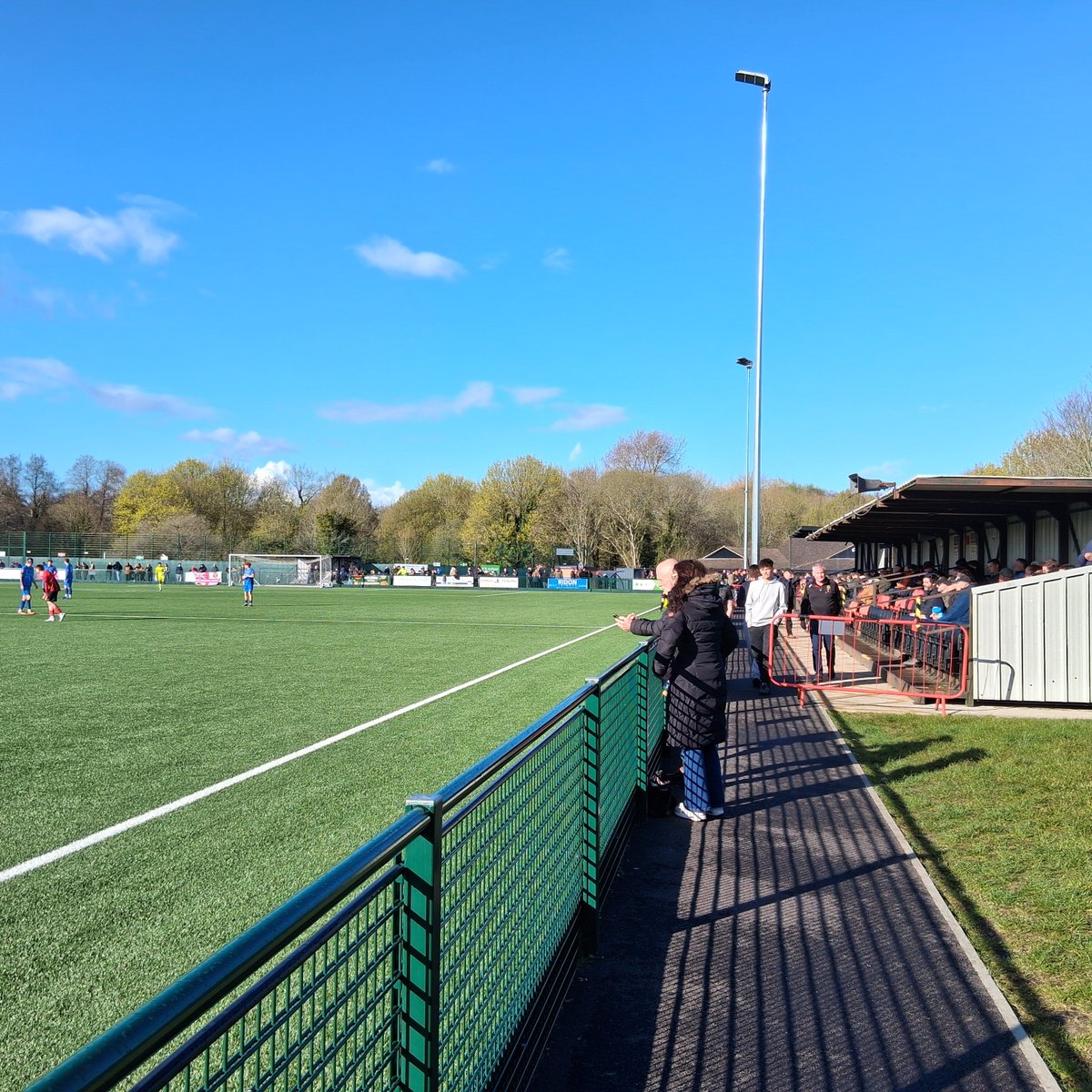 Steve⚽️ Pitts 🦉 tweet media