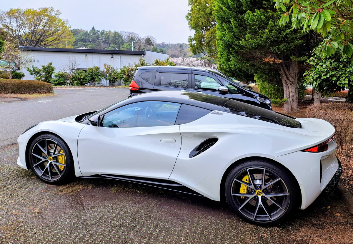 nozaki.sss tweet media