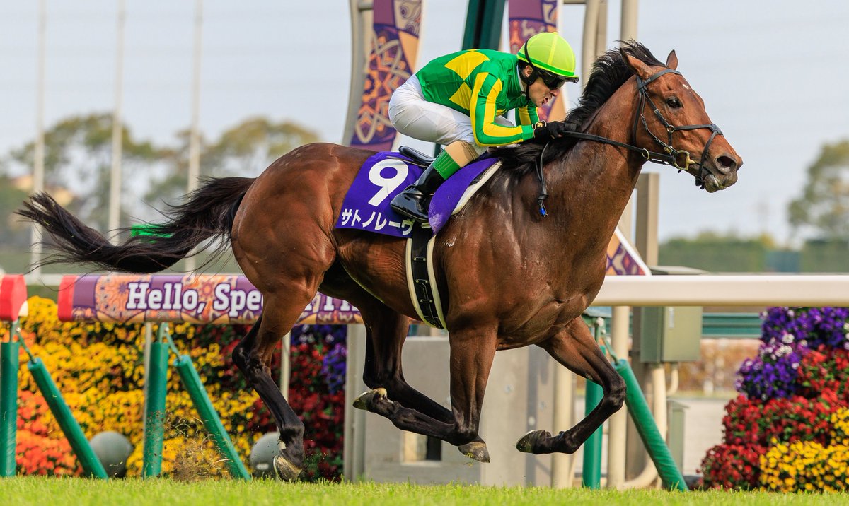 Grant Courtney tweet media