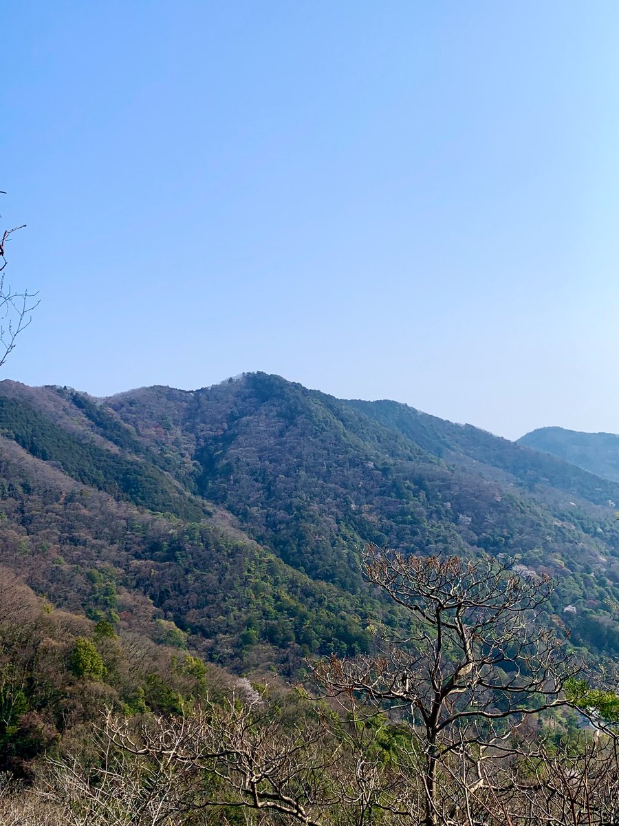 River-stone tweet media