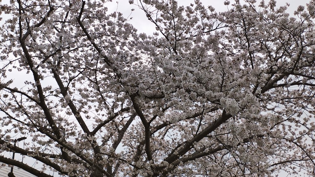 須山慶太 tweet media