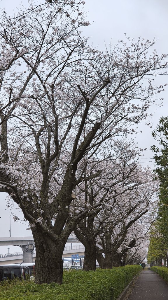 須山慶太 tweet media