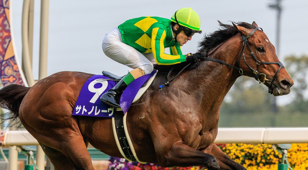 Grant Courtney tweet media