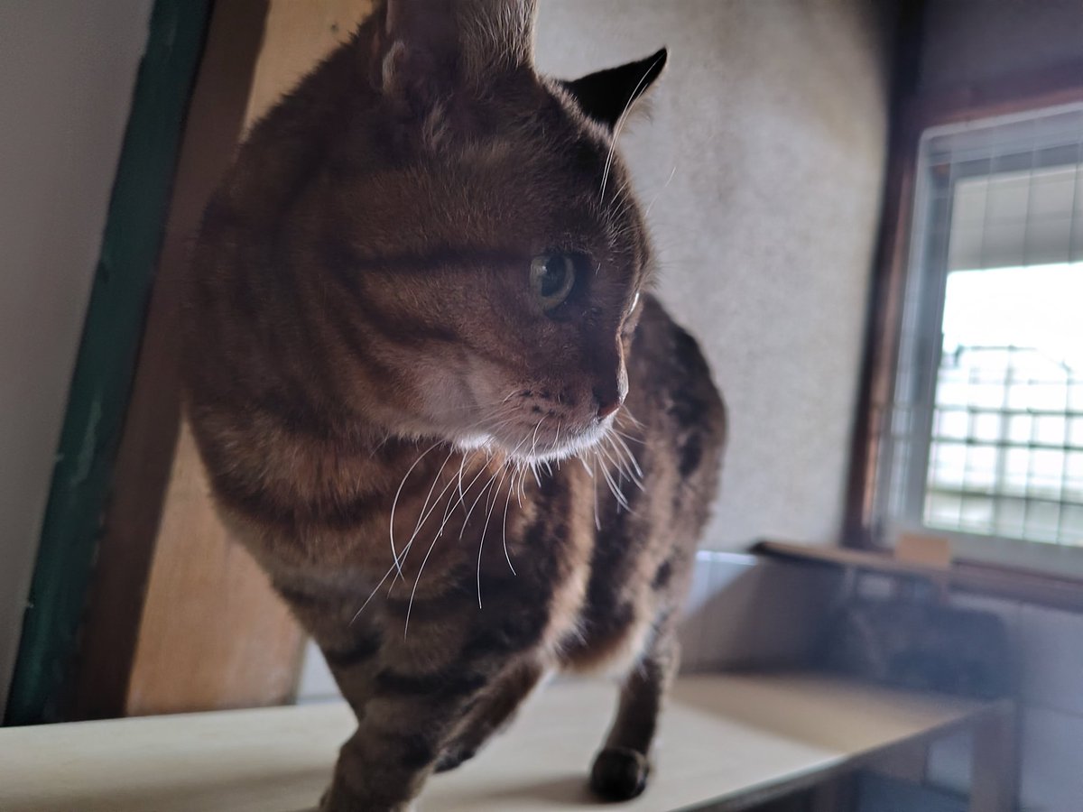 今日は暖かいから（窓全開室温20°Ｃ）
北側の部屋まで冒険。