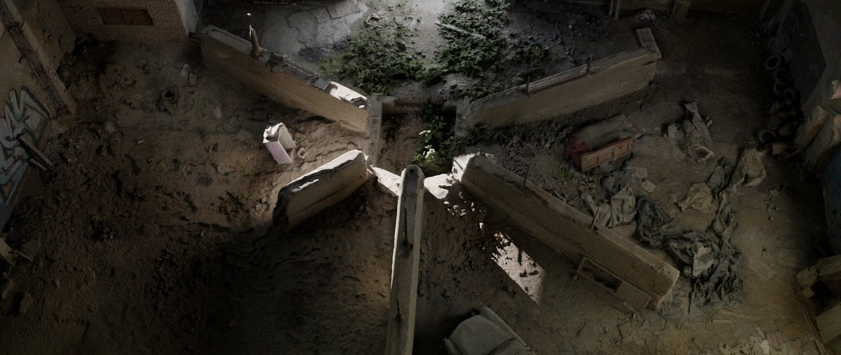 Gleb Alexandrov tweet media