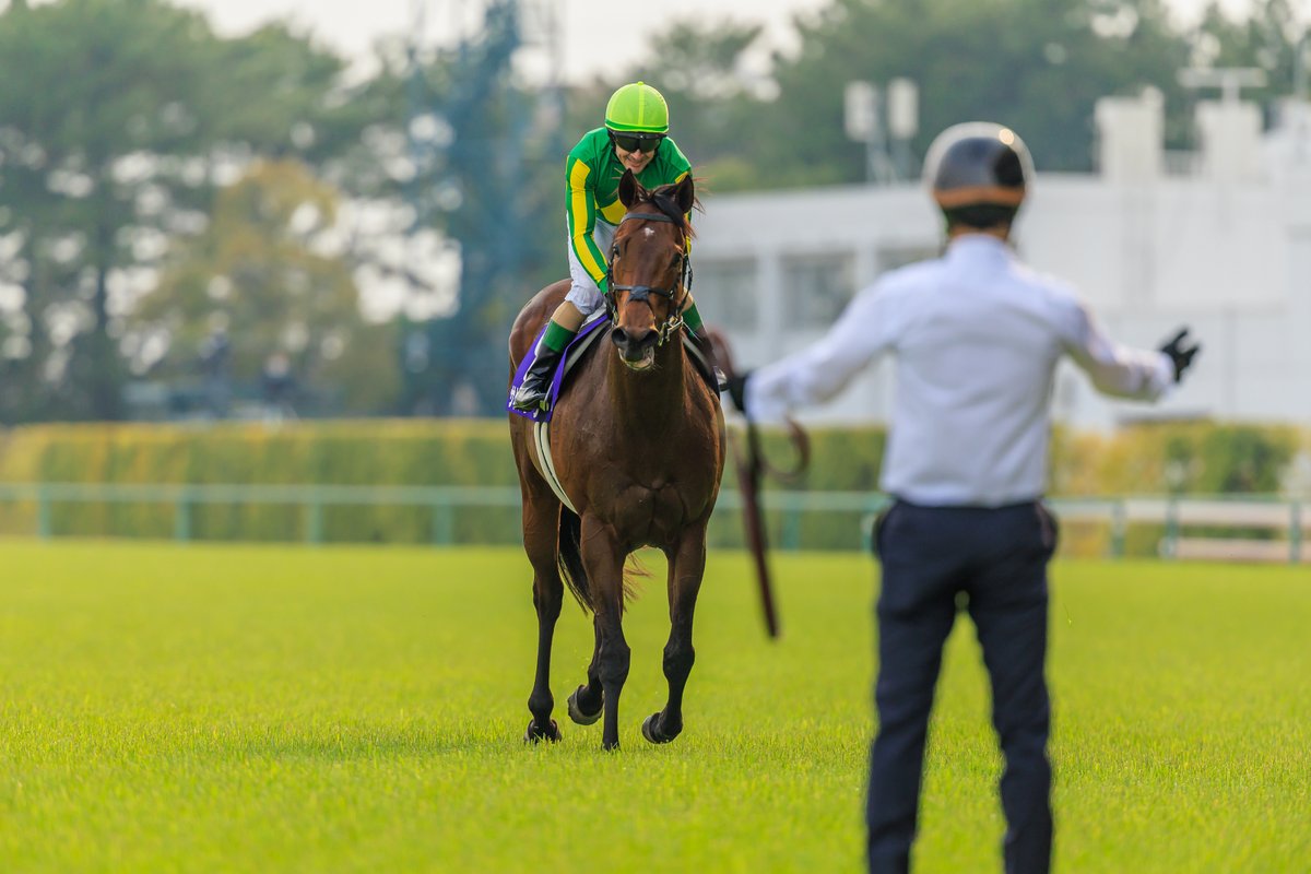 Grant Courtney tweet media