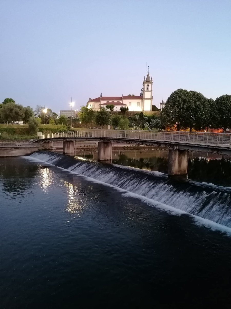 manuelima tweet media