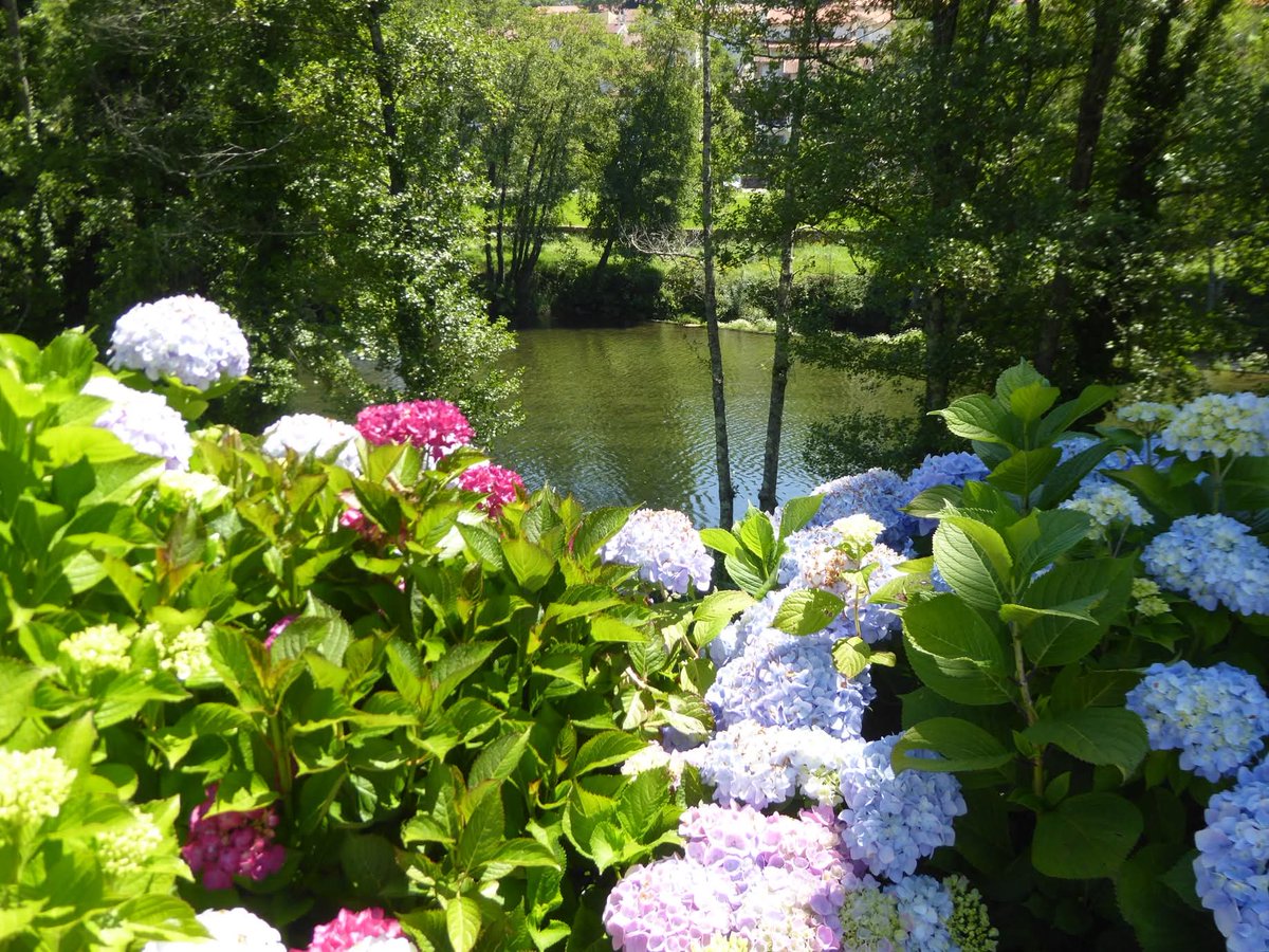 manuelima tweet media