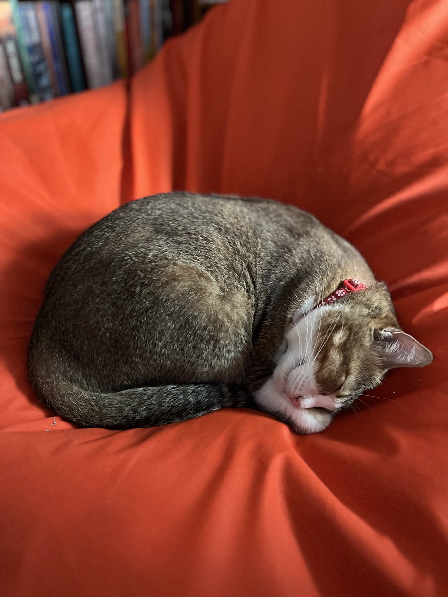 Ciyeng 🌻 tweet media