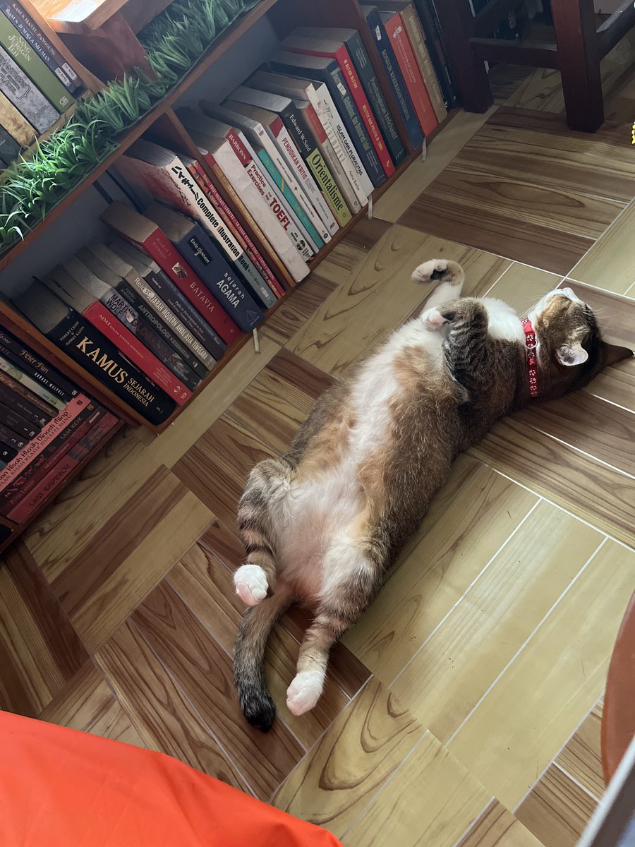 Ciyeng 🌻 tweet media