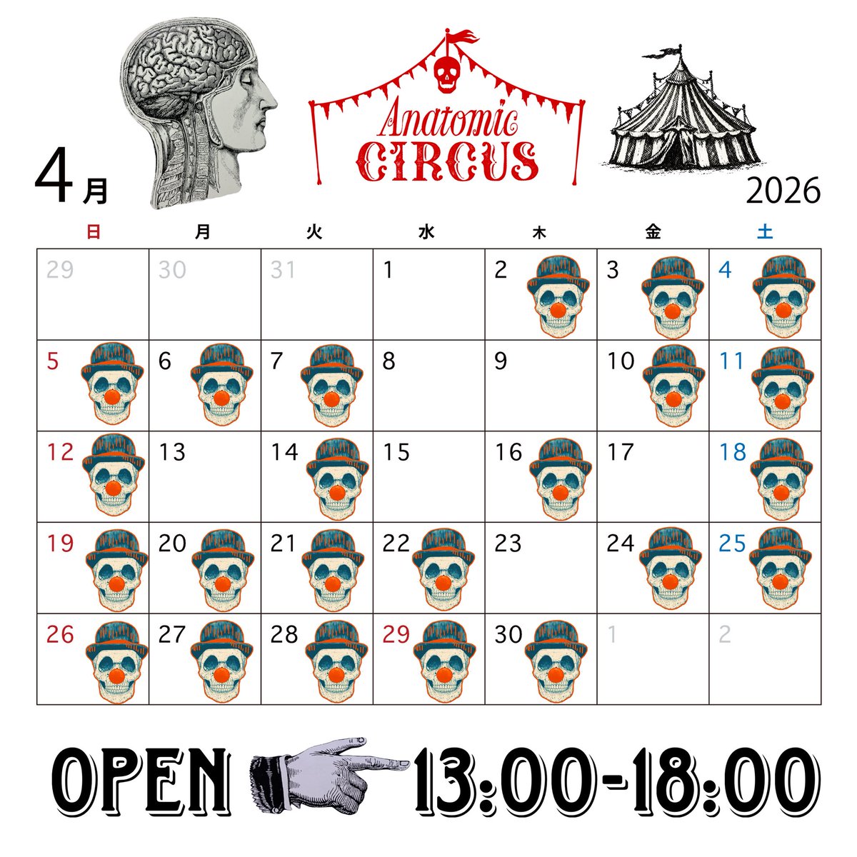 Anatomic Circus tweet media