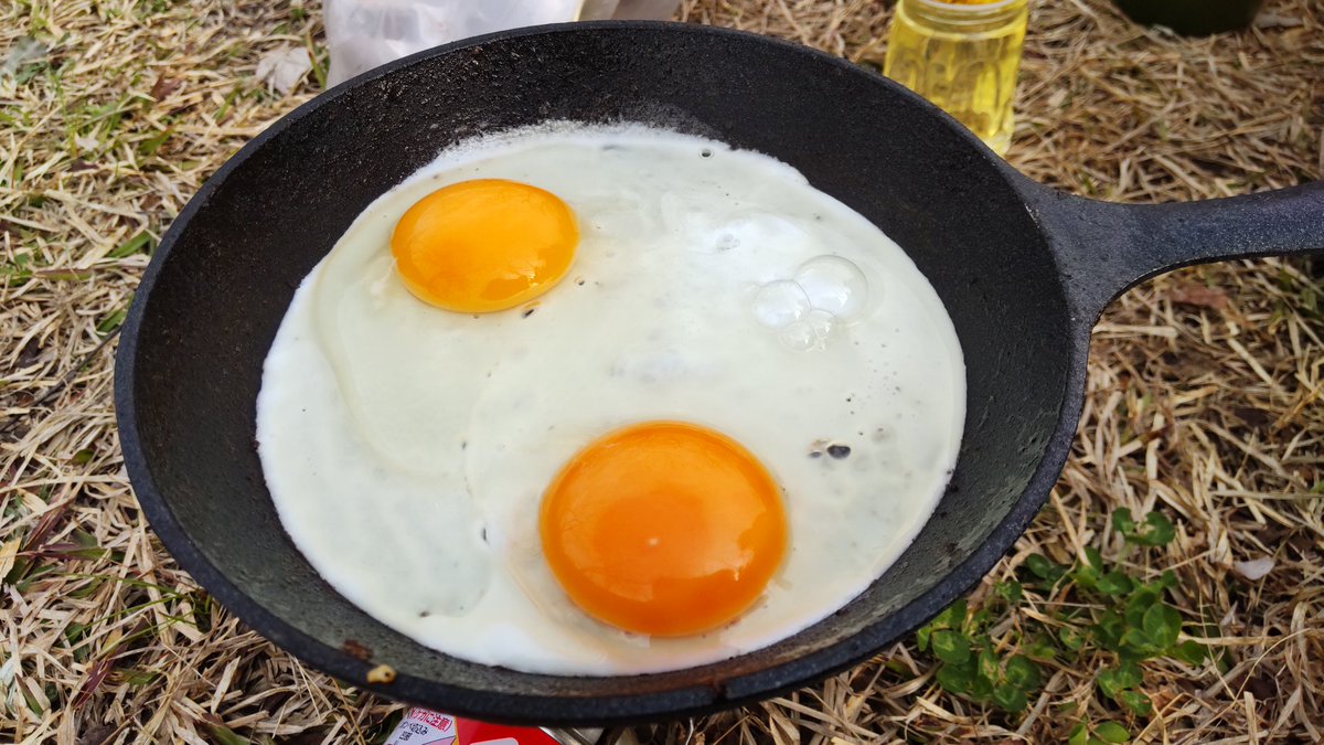 こむぎ🐱片手生活 tweet media