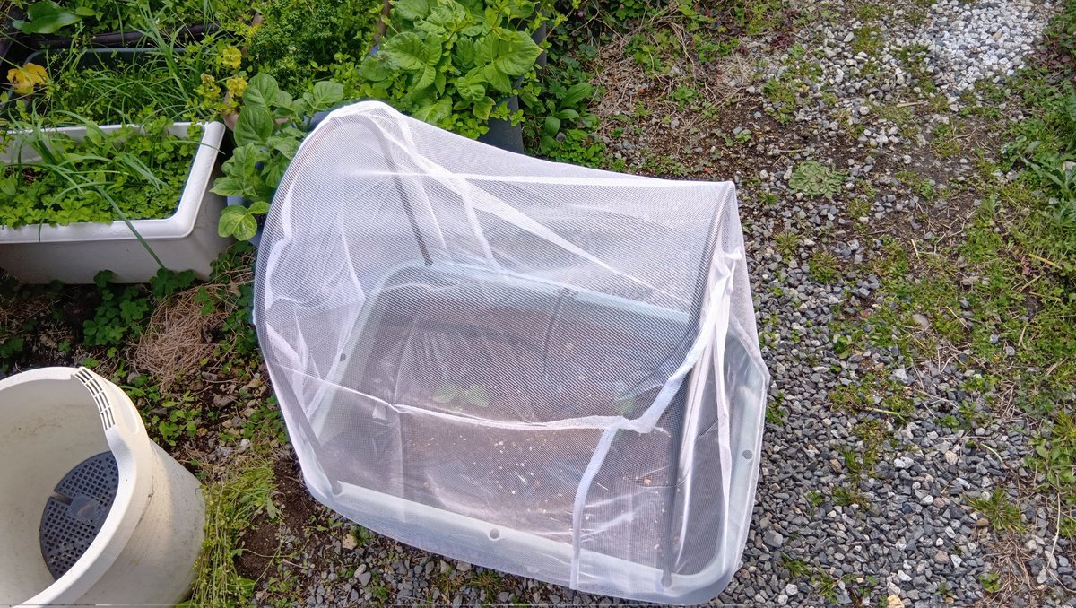 にぬき（SW） tweet media