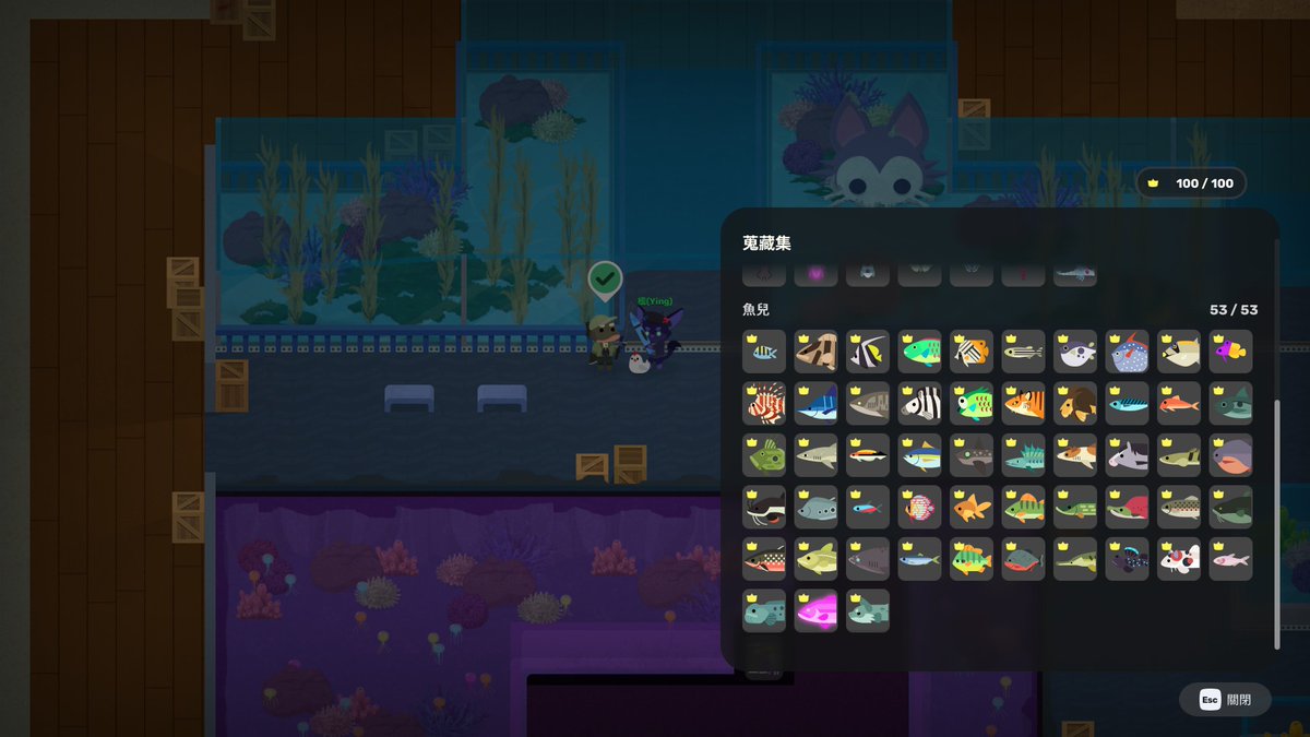 楹 (Ying) tweet media