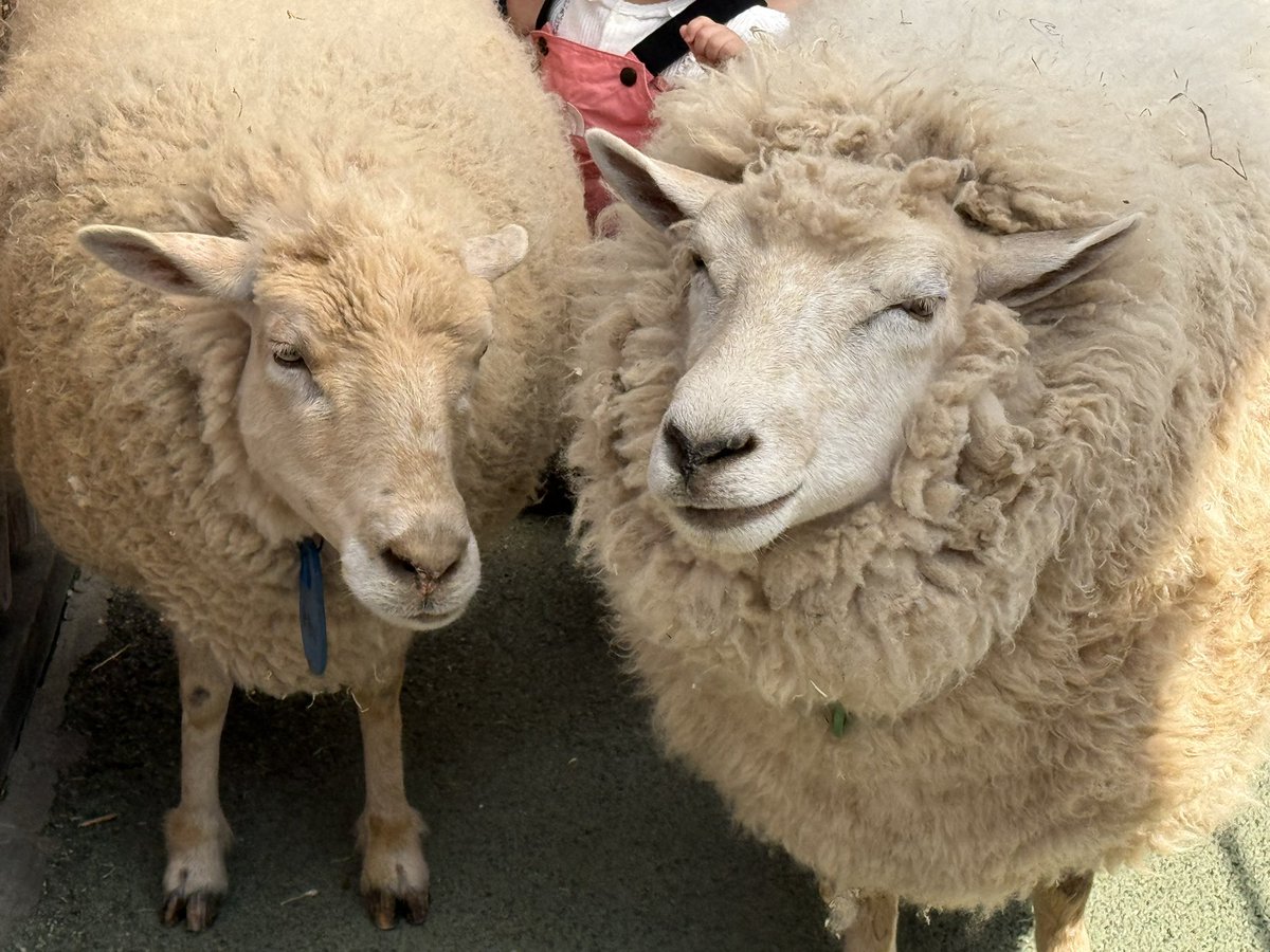 Reryuଳ tweet media