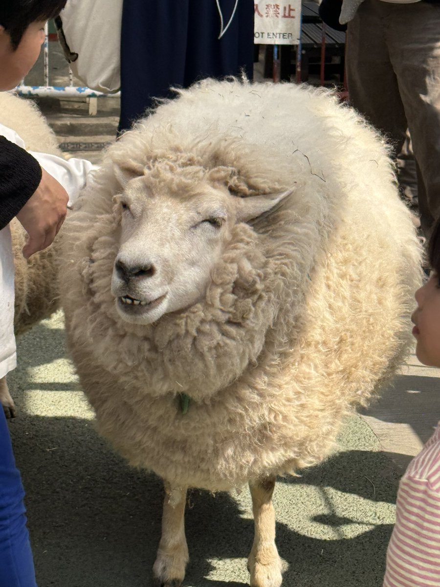 Reryuଳ tweet media