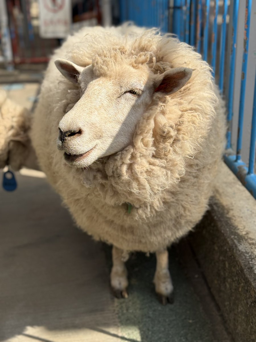 Reryuଳ tweet media