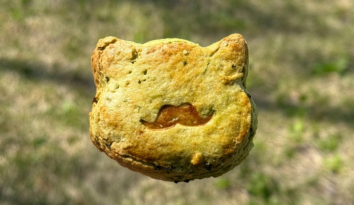 あおい さくや ＠ 静岡市グルメブログ『みなと町でも桜は咲くら』 tweet media