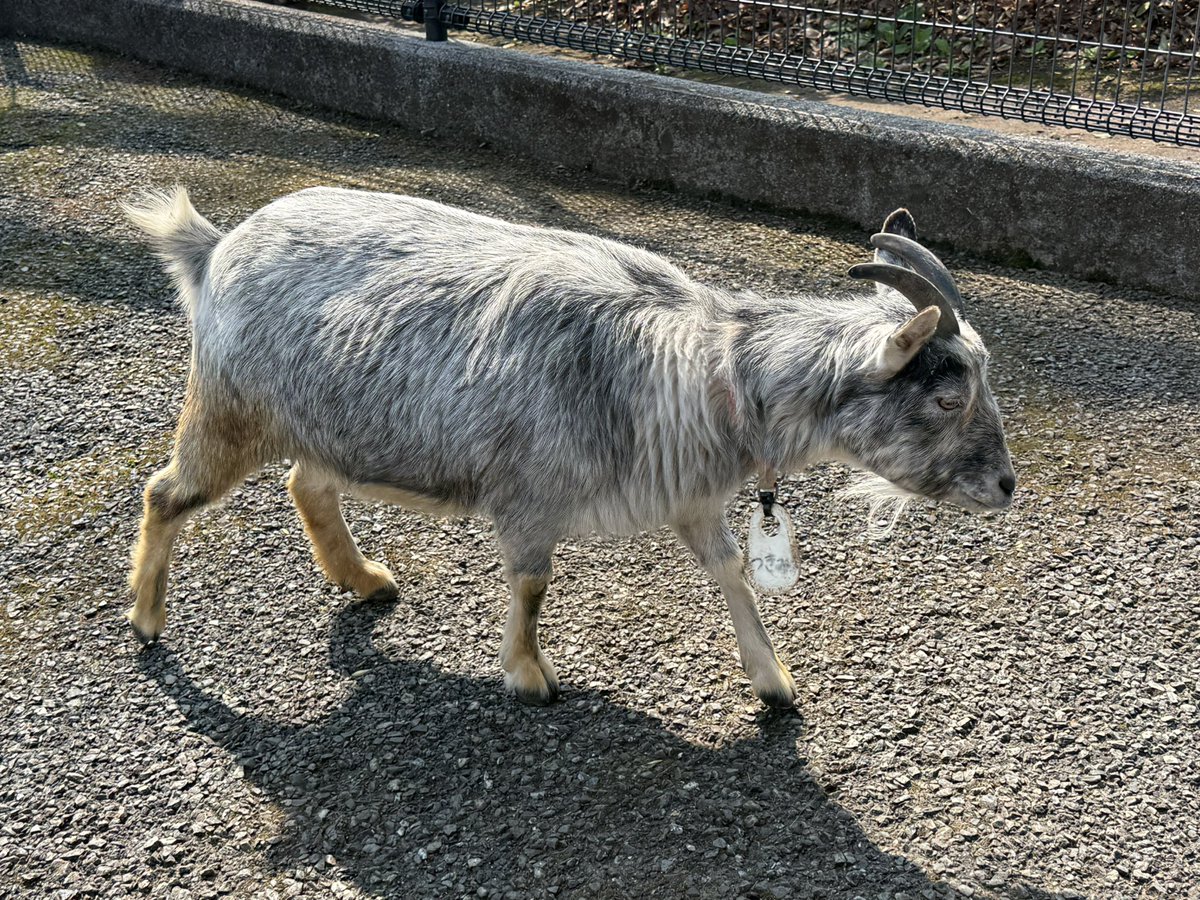 Reryuଳ tweet media