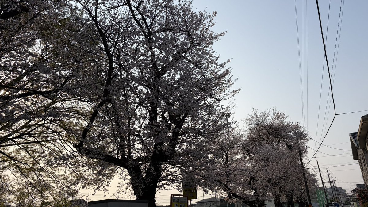 𝕌-𝕙𝕖𝕪 𝕊𝕖𝕥𝕒⚽ tweet media