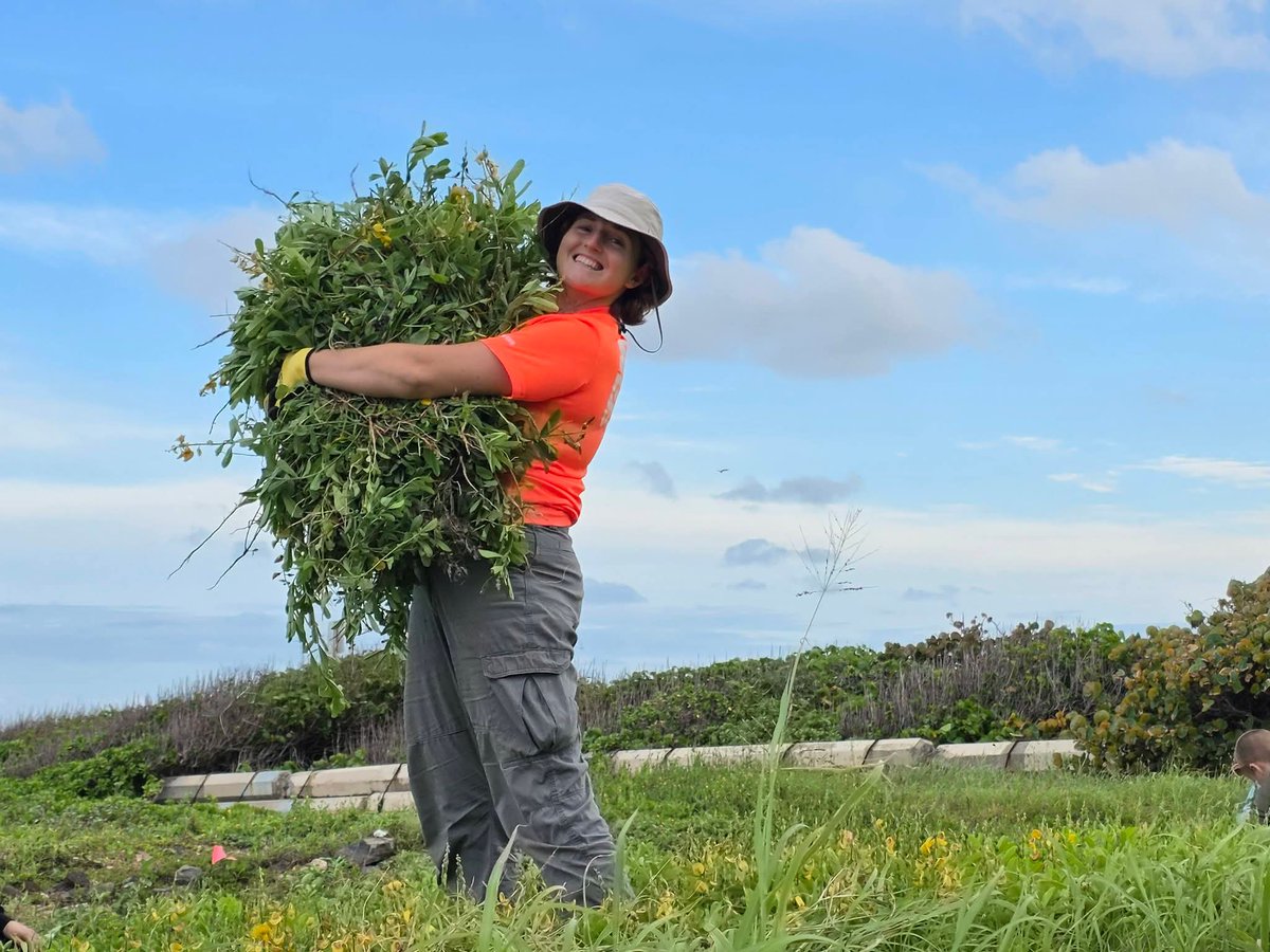 808cleanups tweet media