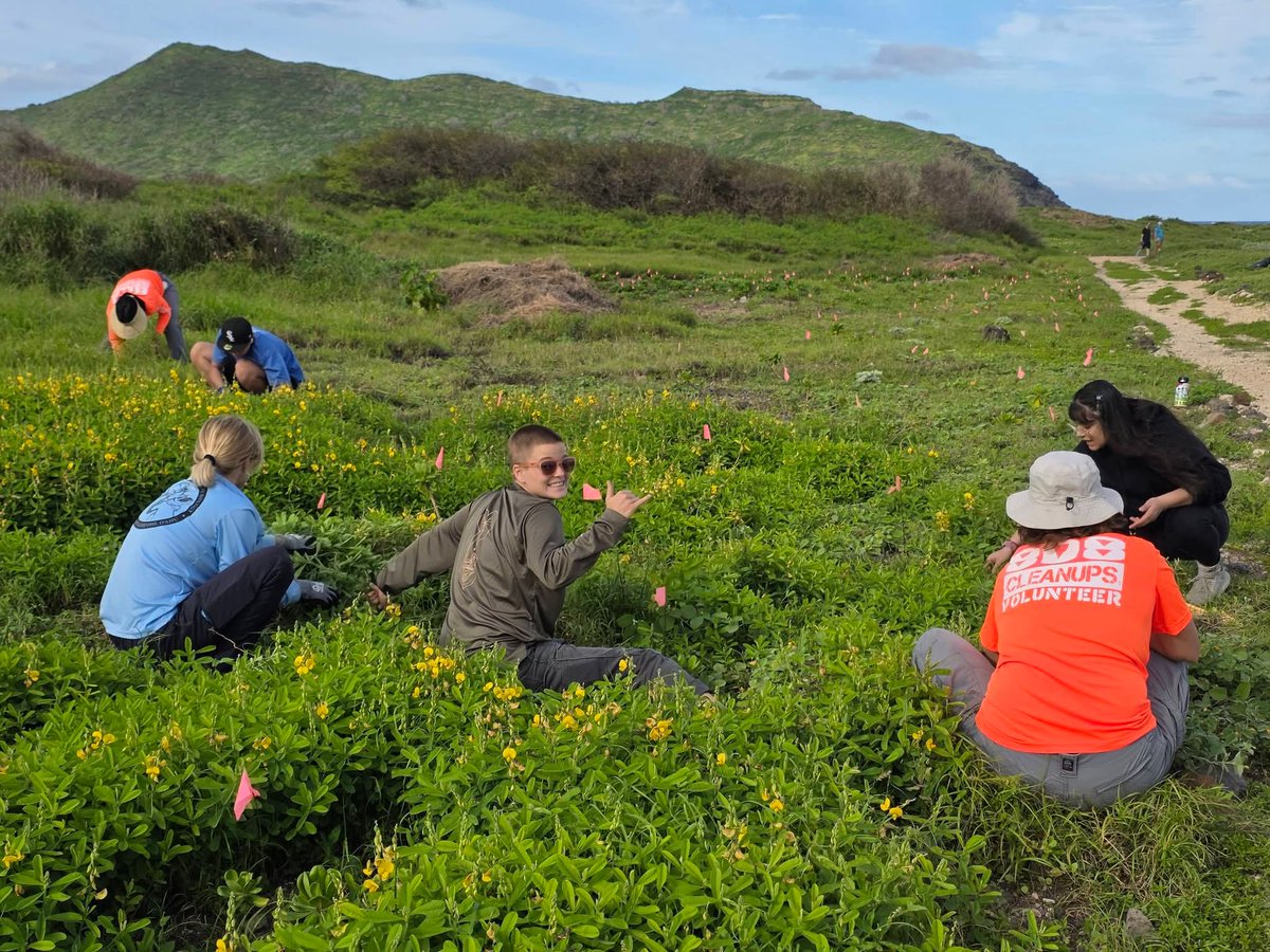 808cleanups tweet media