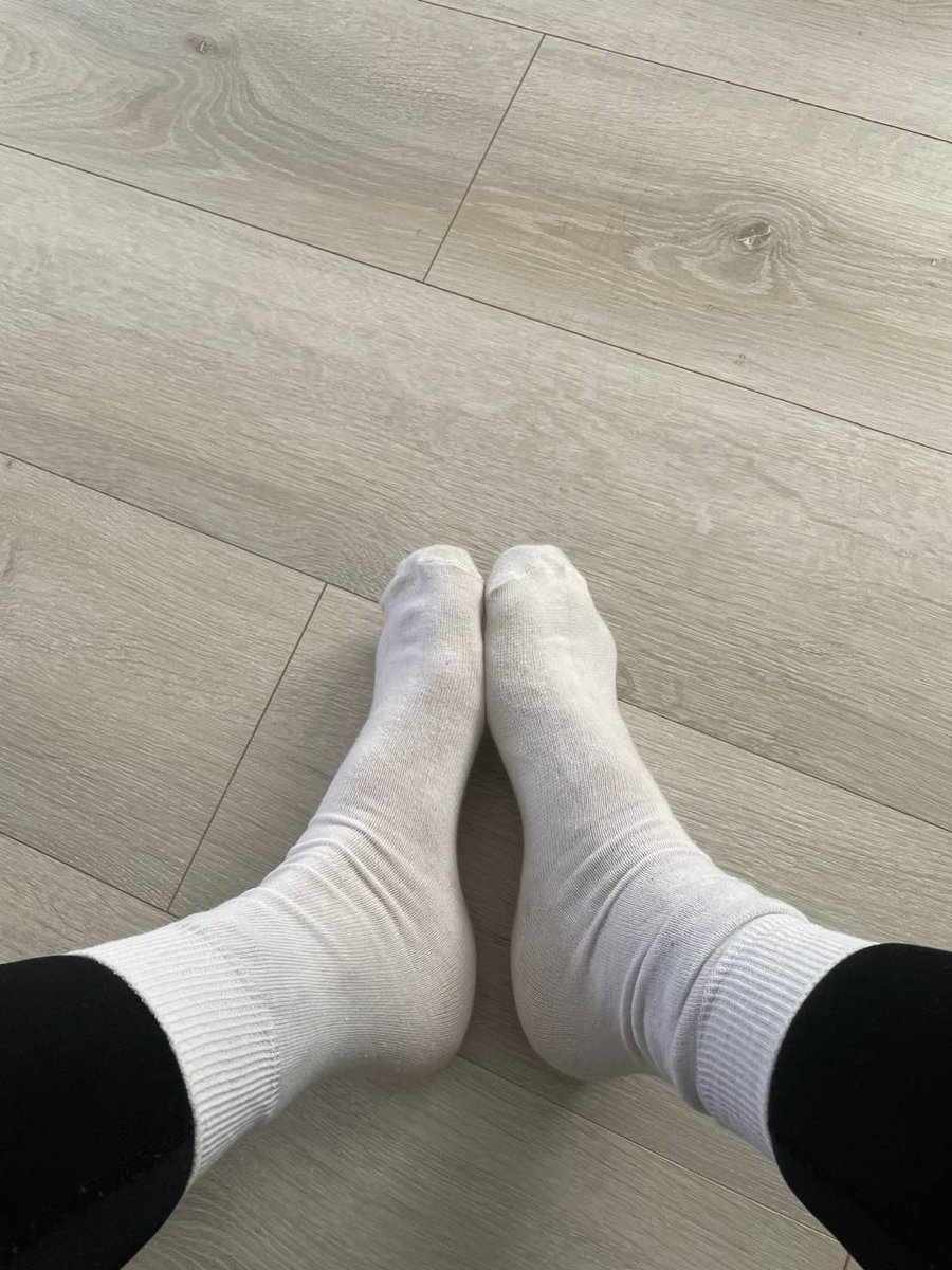 Pferdemädchen tweet media