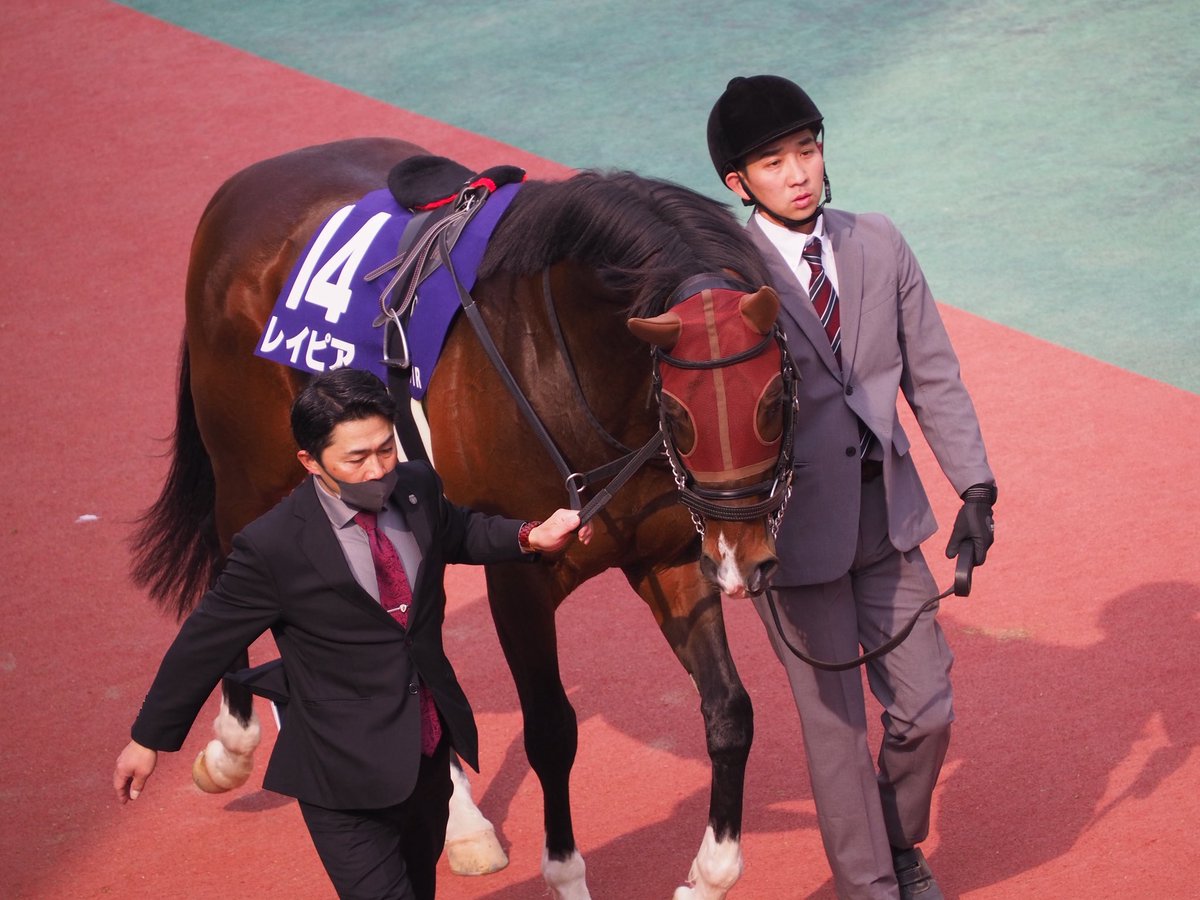 はるま ちくさ◎貯石 tweet media