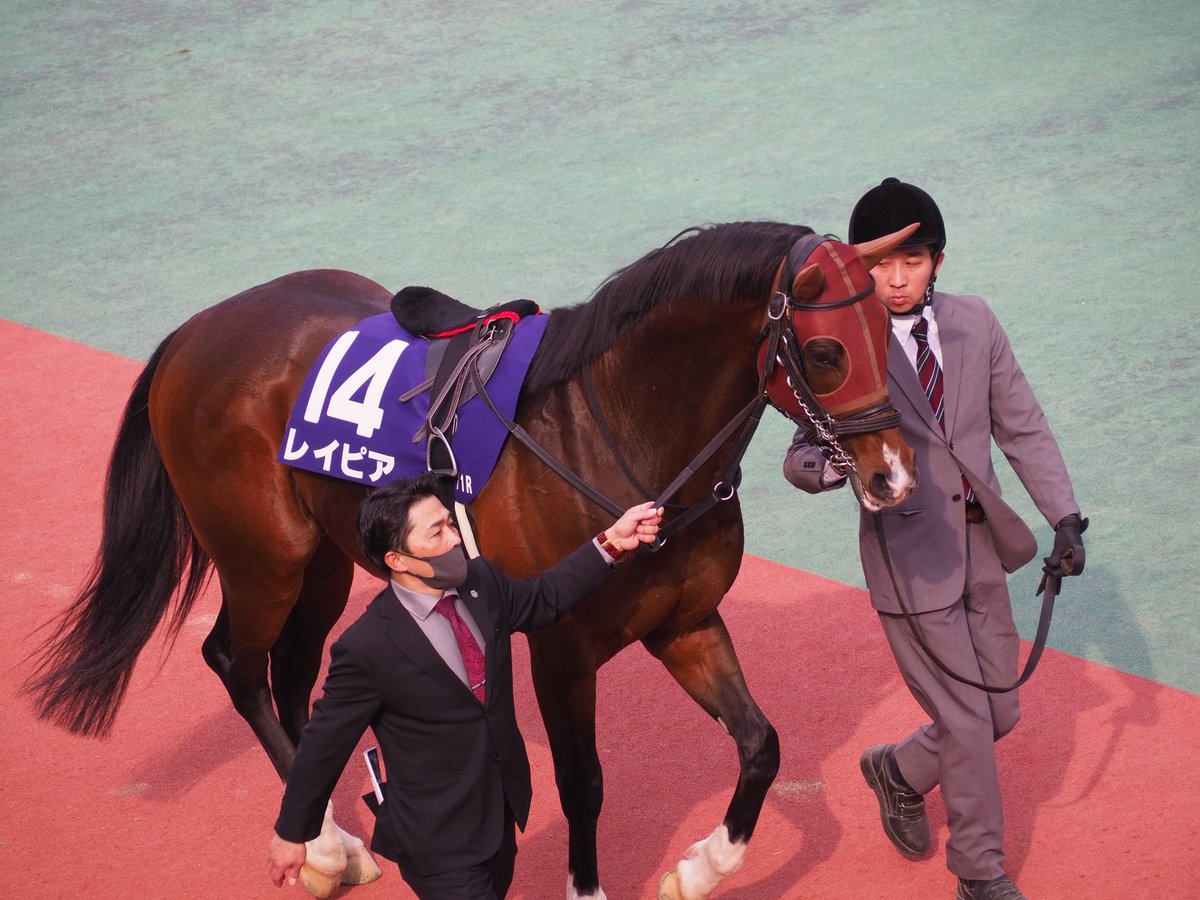 はるま ちくさ◎貯石 tweet media