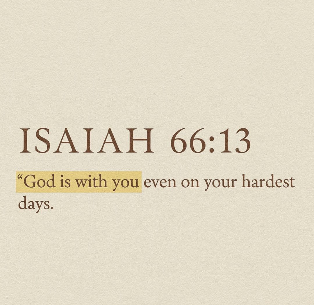 Jesvin George tweet media