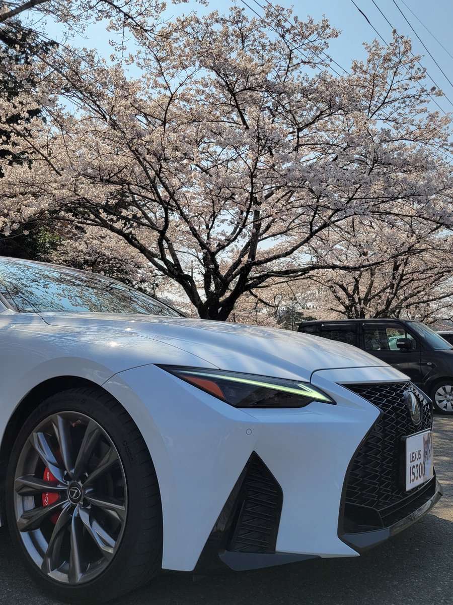 おひとりさま@趣味垢 tweet media