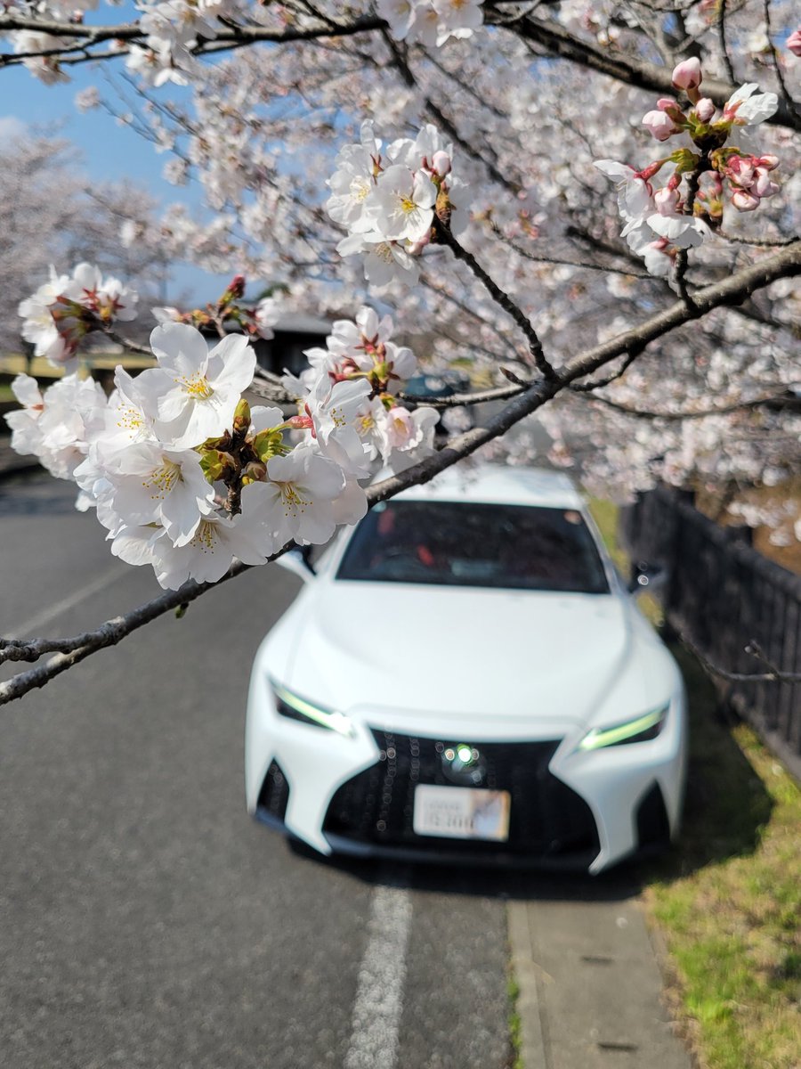 おひとりさま@趣味垢 tweet media