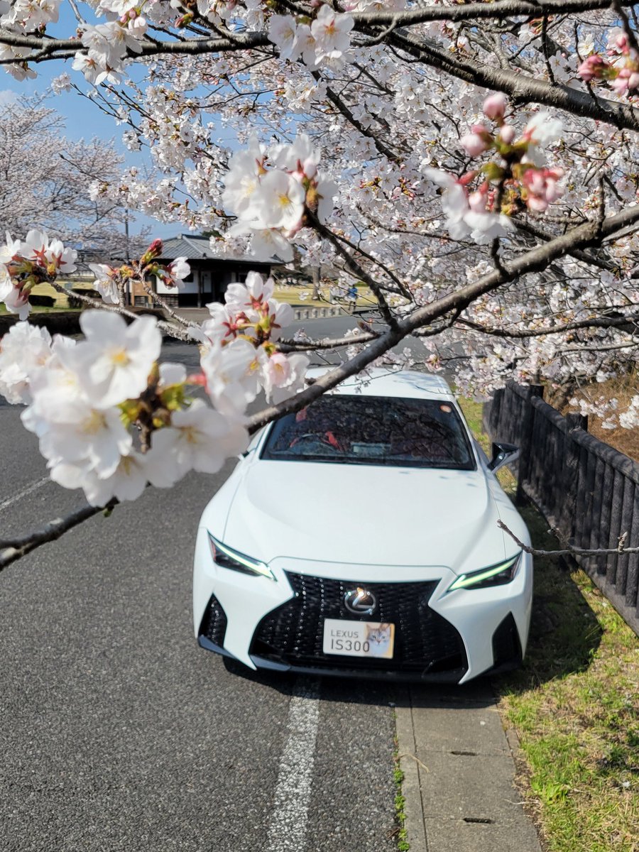 おひとりさま@趣味垢 tweet media