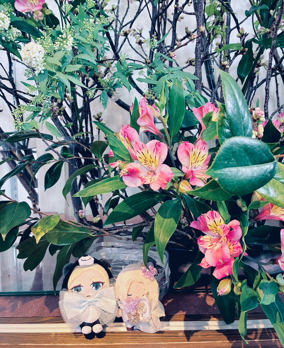 すいか tweet media