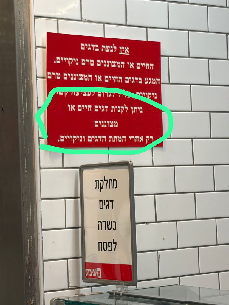 פרנקו שלבי tweet media