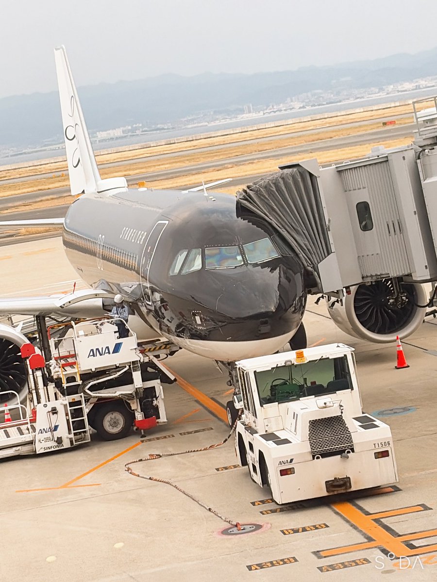 どっかの狐(れを） ♂ tweet media