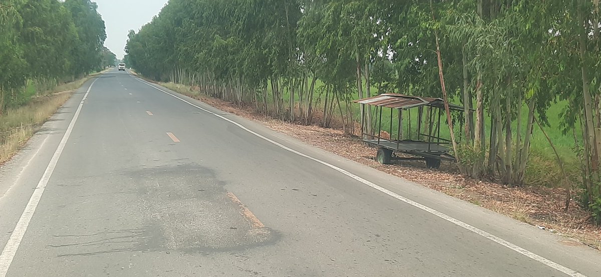 แอบซุ่มในมุมมืด tweet media