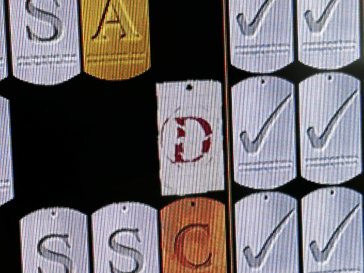 枝 豆犬 tweet media