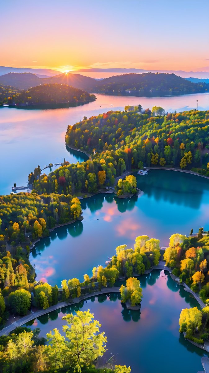 marcinzoled85 tweet media