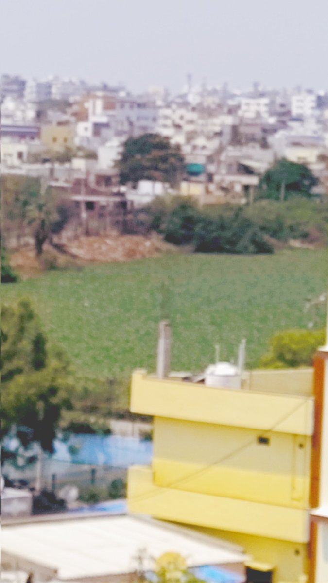 SachdevVishaka's tweet photo. Severe mosquito infestation in Temple Alwal, Hyderabad (500010) for the past months.
Alwal lake is completely covered with green algae and stagnant water, leading to heavy mosquito breeding.
This is a clear dengue/malaria risk.
@GHMCOnline @CommissionrGHMC #GHMC #PublicHealth https://t.co/RhVeIRouVY