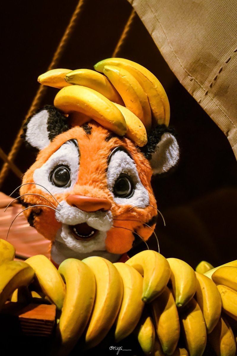 𝑟𝑎𝑏𝑖 tweet media